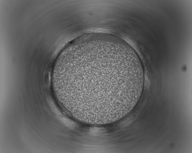 X0000116480109201001061128