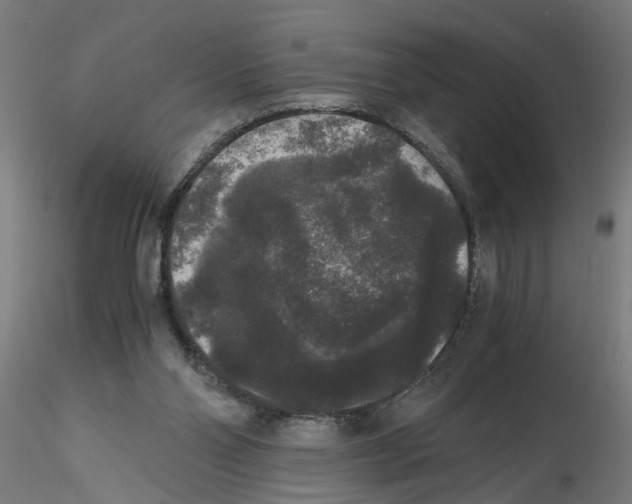 X0000116480110201001061128