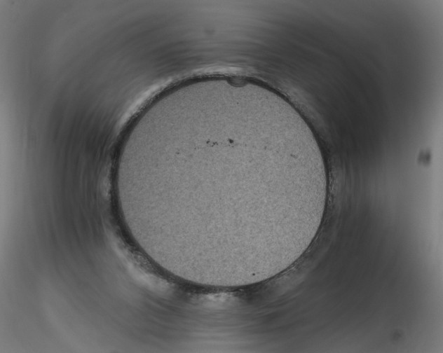 X0000116480112201001061128