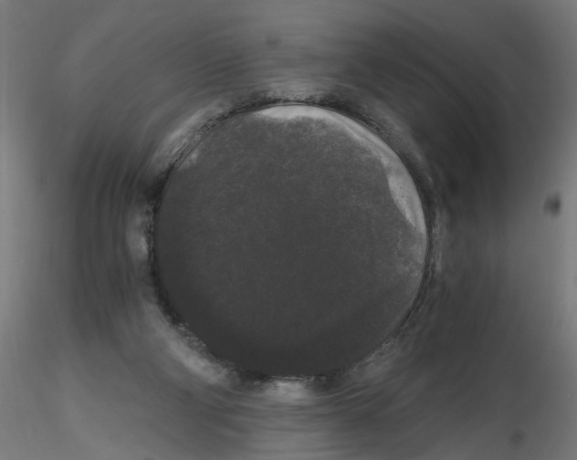 X0000116480114201001061128