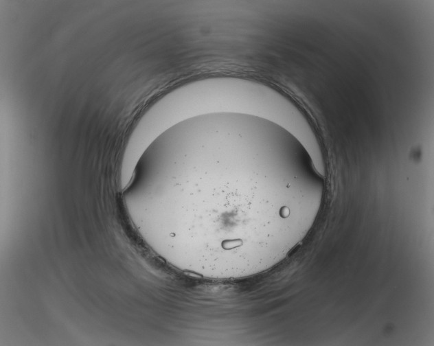 X0000116480117201001061128