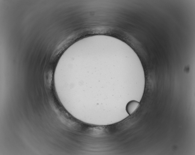 X0000116480118201001061128