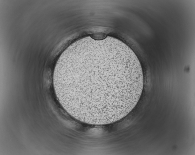 X0000116480119201001061128