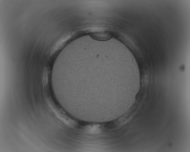 X0000116480120201001061128