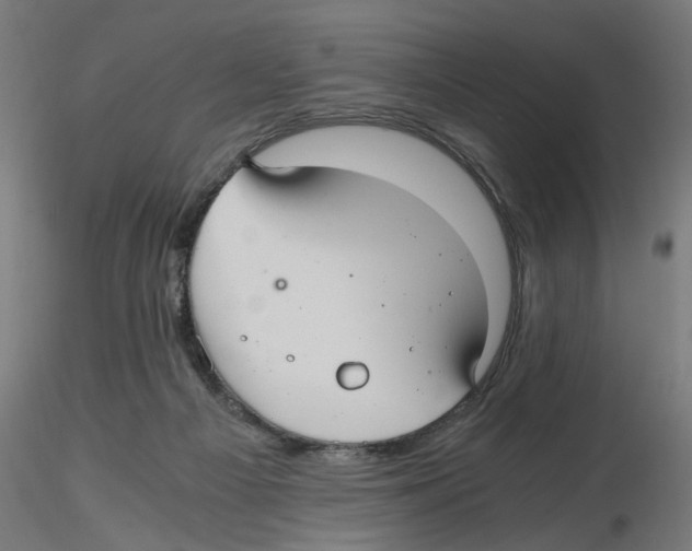 X0000116480121201001061128