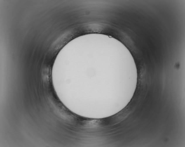 X0000116480122201001061128