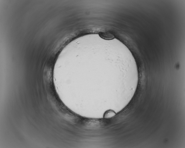 X0000116480123201001061128