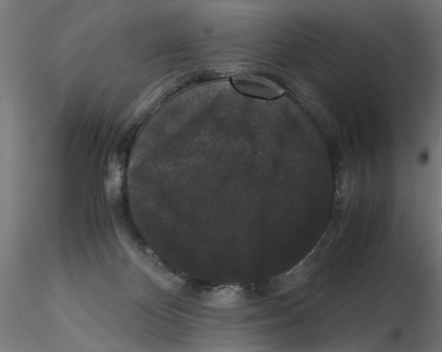 X0000116480124201001061128