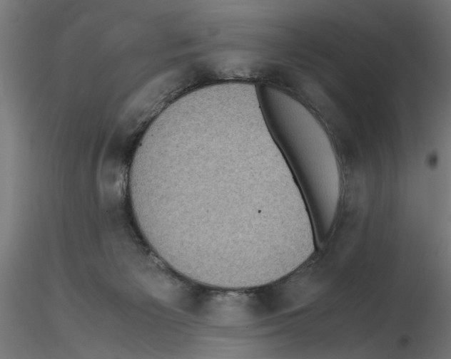 X0000116480125201001061128