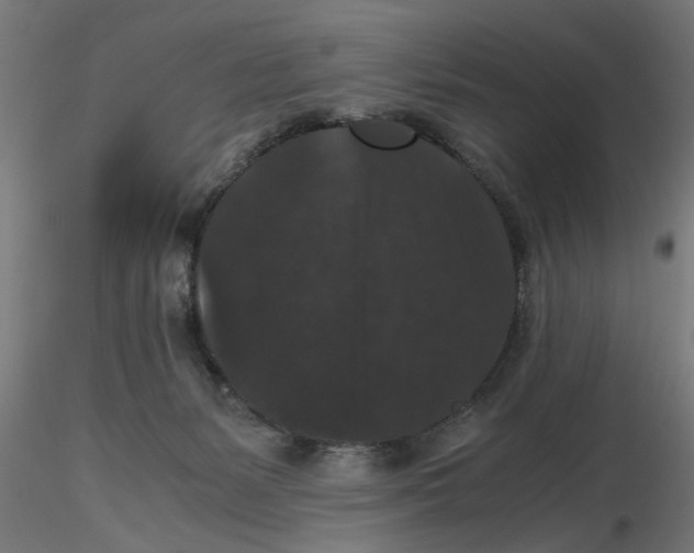 X0000116480127201001061128