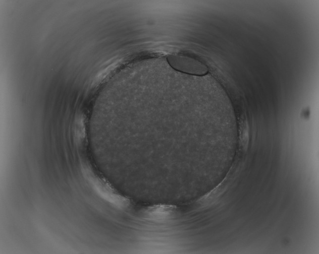 X0000116480128201001061128