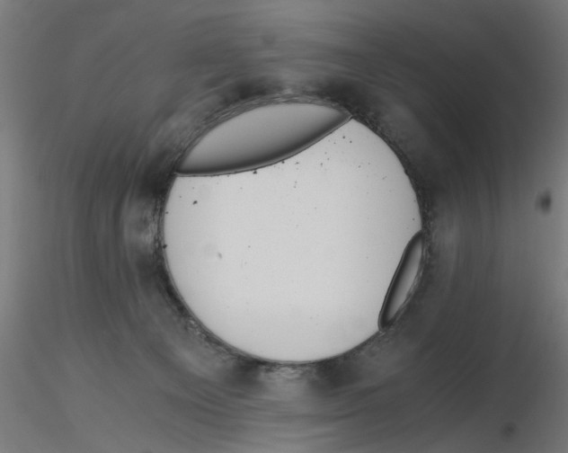 X0000116480129201001061128