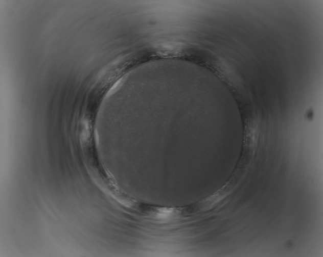 X0000116480130201001061128