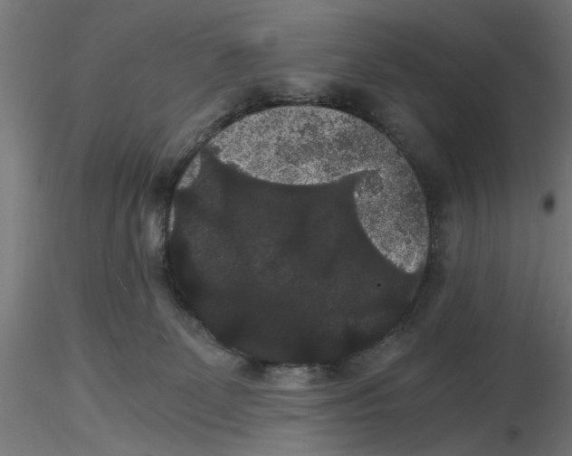 X0000116480131201001061128