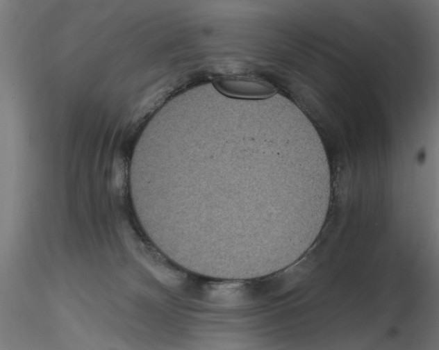 X0000116480132201001061128