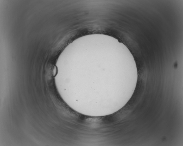 X0000116480133201001061128