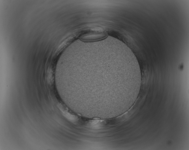 X0000116480136201001061128