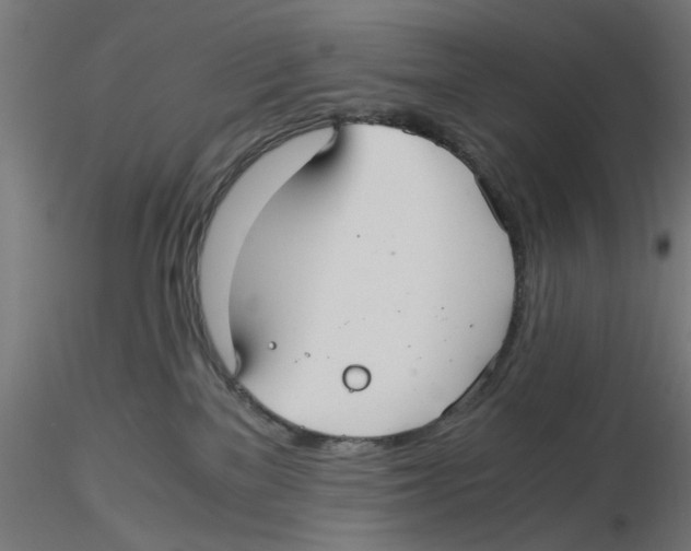 X0000116480137201001061128