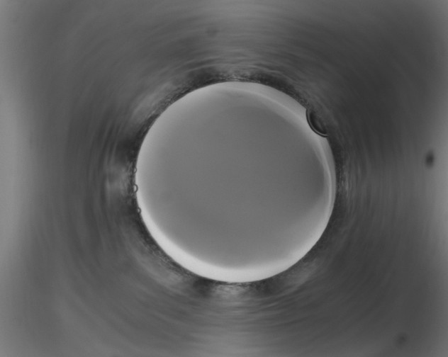 X0000116480139201001061128