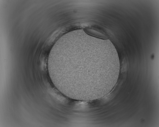 X0000116480140201001061128