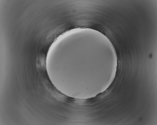 X0000116480143201001061128