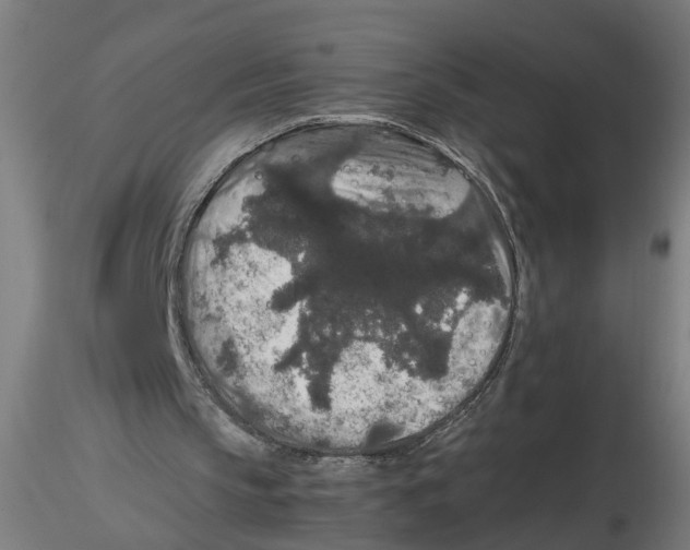 X0000116480145201001061127