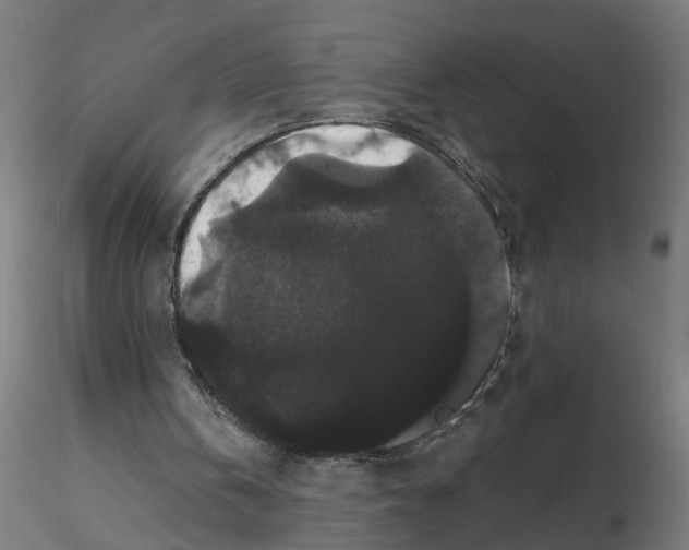 X0000116480146201001061127