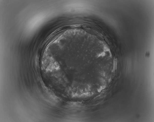 X0000116480147201001061127