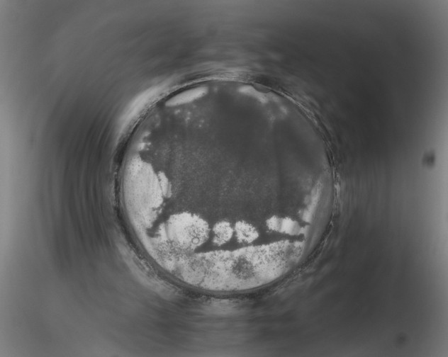 X0000116480149201001061127