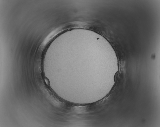 X0000116480150201001061127