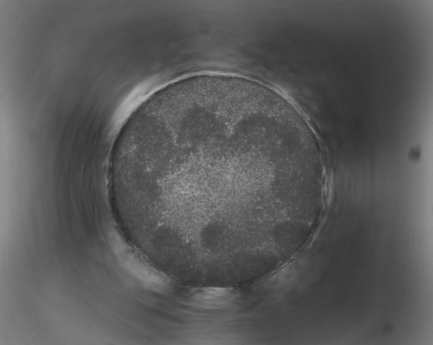 X0000116480151201001061127