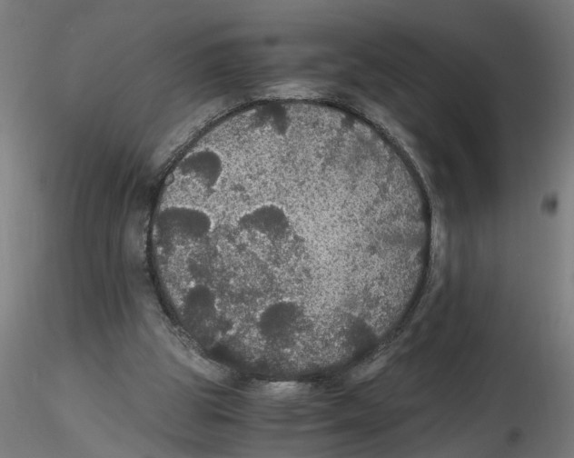 X0000116480153201001061127