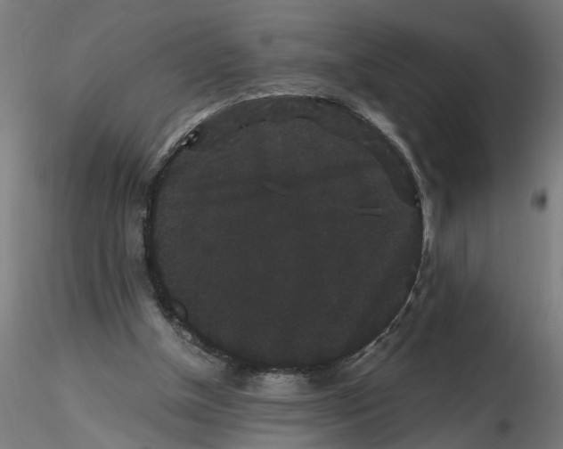 X0000116480154201001061127