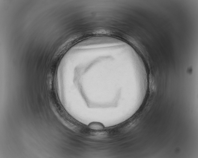 X0000116480157201001061127