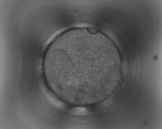 X0000116480159201001061127