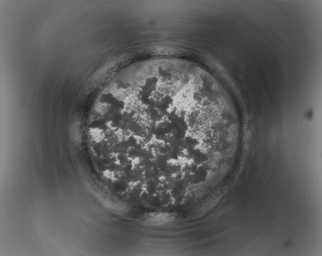 X0000116480161201001061127