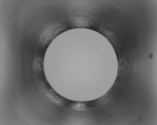 X0000116480162201001061127