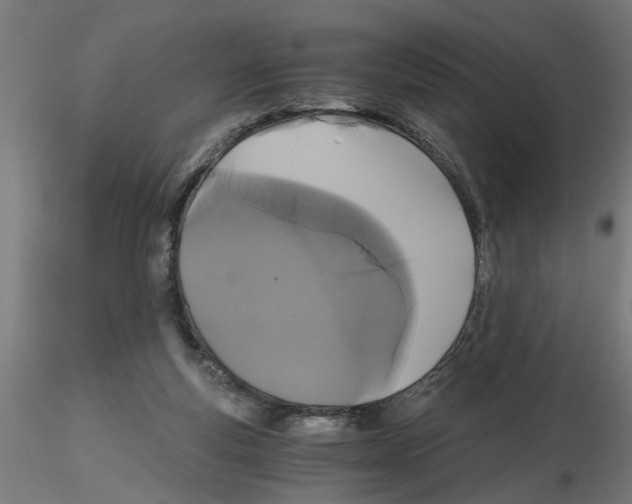 X0000116480163201001061127