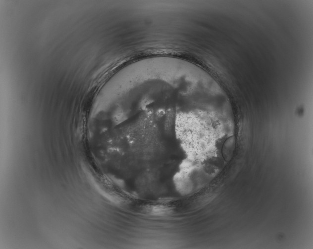 X0000116480165201001061127