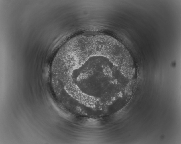 X0000116480166201001061127