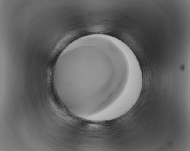 X0000116480167201001061127