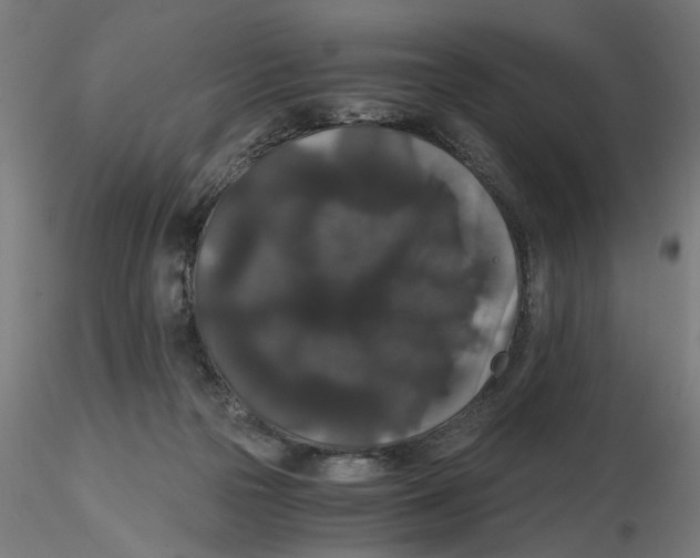 X0000116480169201001061127