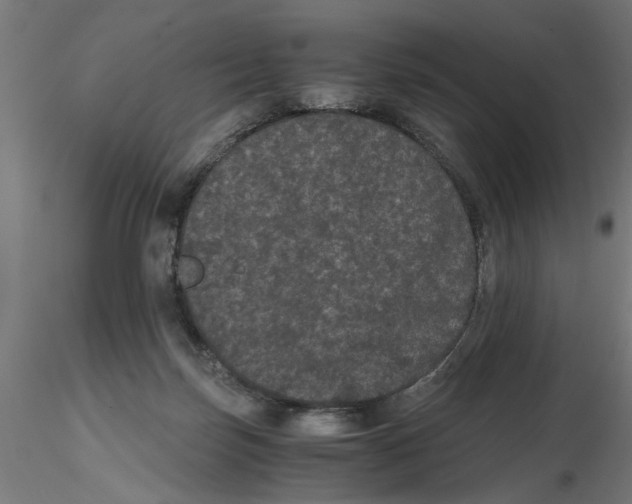 X0000116480171201001061127