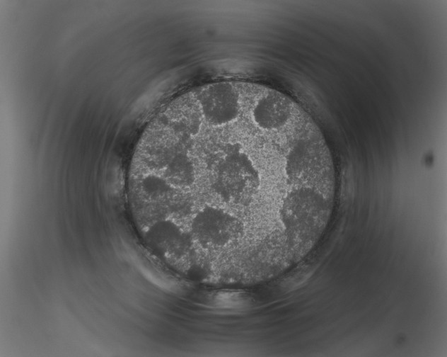 X0000116480173201001061127