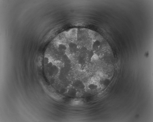 X0000116480175201001061127