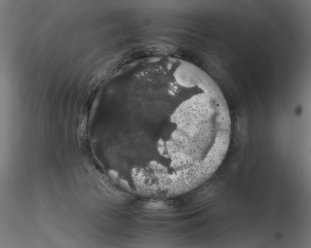 X0000116480177201001061127