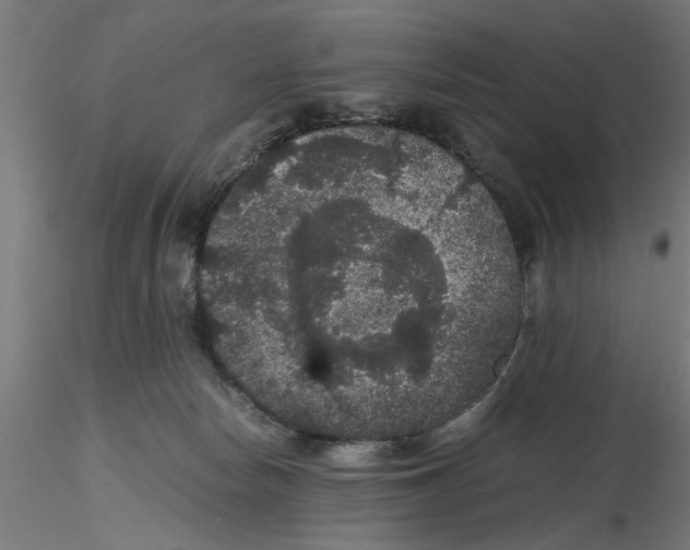 X0000116480178201001061127