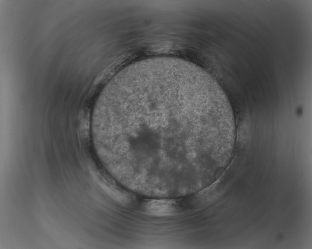 X0000116480179201001061128