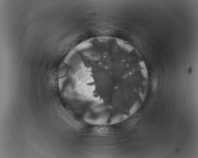 X0000116480181201001061128