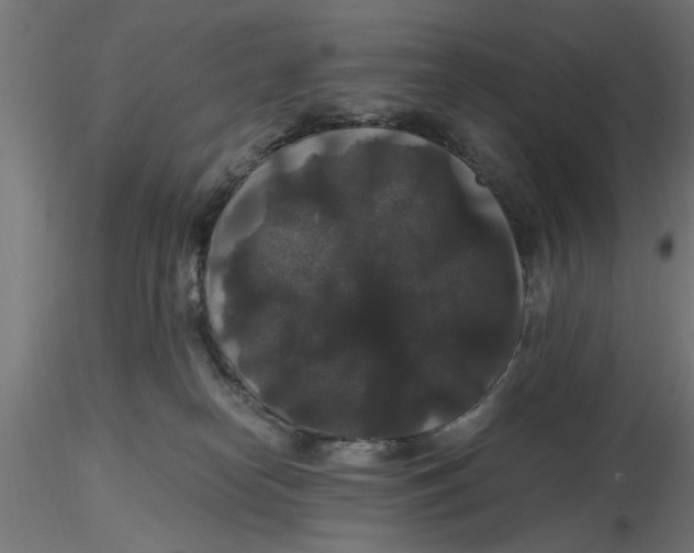 X0000116480182201001061128